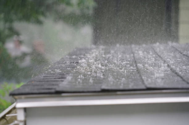 Best Gutter Replacement  in Watkinsville, GA