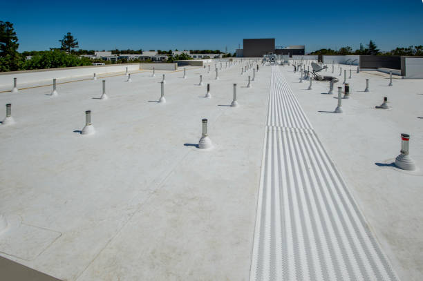 Best Skylight Installation and Repair  in Watkinsville, GA